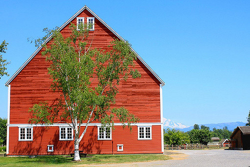 barn-edited