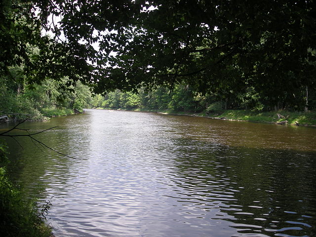 640px-Ferris_State_University_August_2010_03_(Muskegon_River)